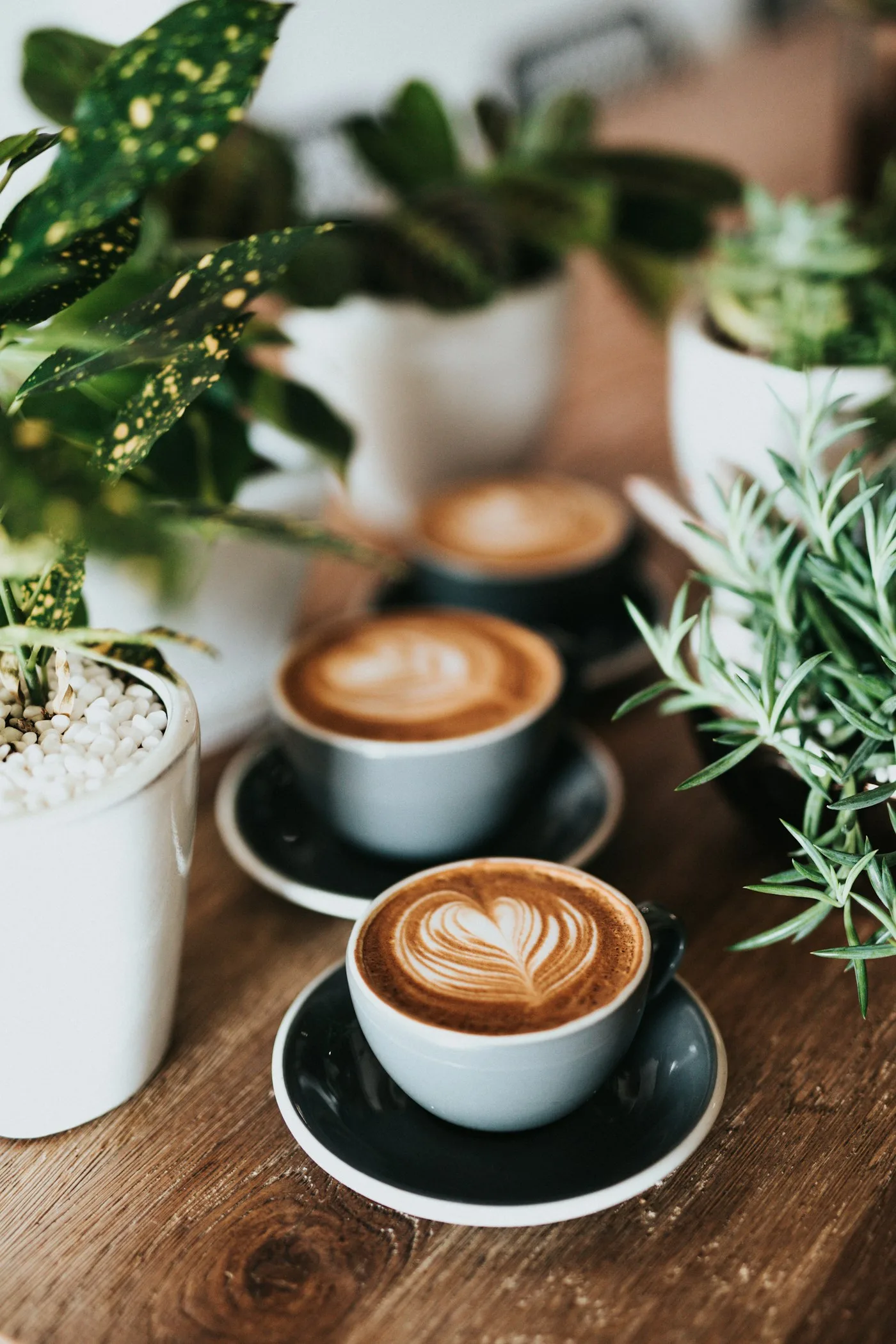 Cafés latte art sur un comptoir